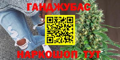 дмт Будённовск