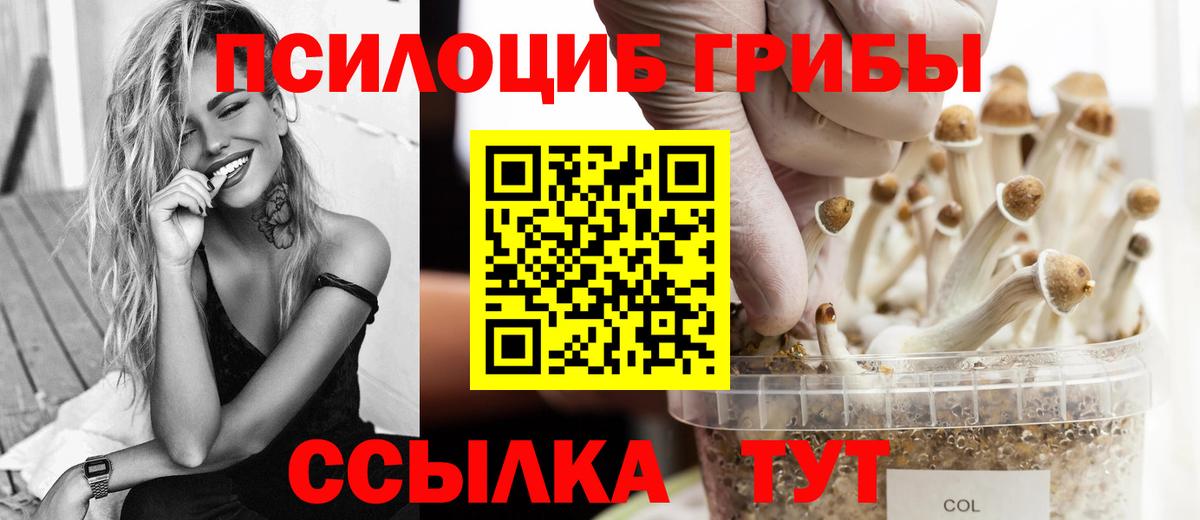дарнет шоп  Псилоцибиновые грибы прущие грибы  Псилоцибиновые грибы прущие грибы  Вход с VPN  Чехов 